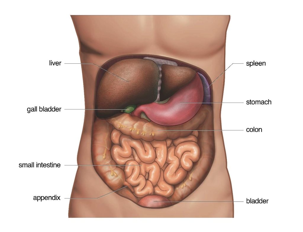 abdominal organs injury in Singapore.